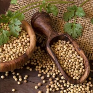 Coriander Seeds